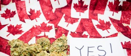 Canadá aprueba el uso recreativo de la marihuana