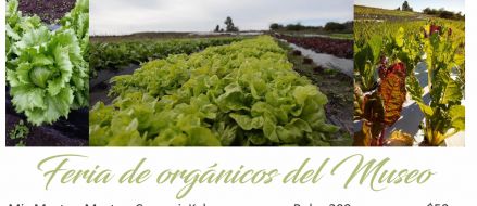 Continua la feria de orgnicos en el Museo