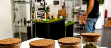 Francia distribuir cannabis medicinal gratuito